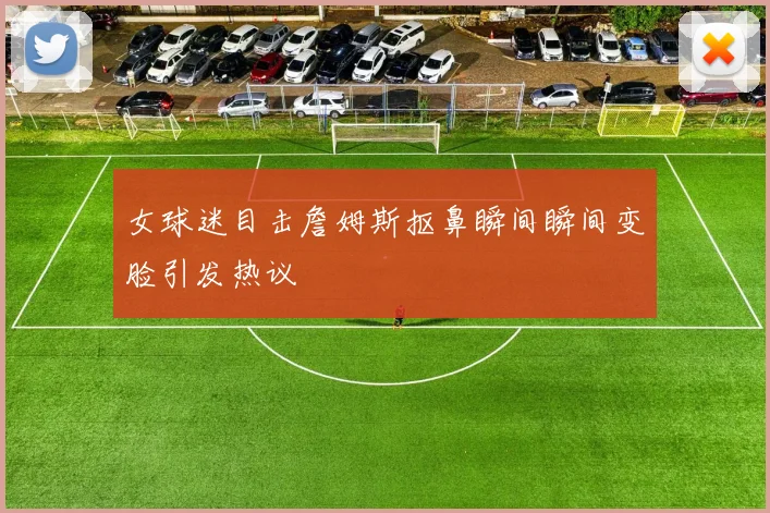 女球迷目击詹姆斯抠鼻瞬间瞬间变脸引发热议