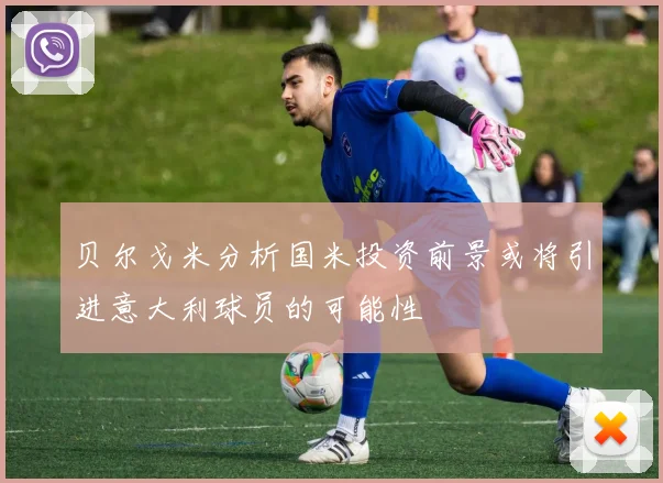 贝尔戈米分析国米投资前景或将引进意大利球员的可能性