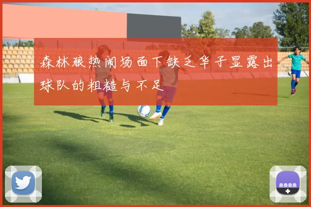森林狼热闹场面下缺乏华子显露出球队的粗糙与不足